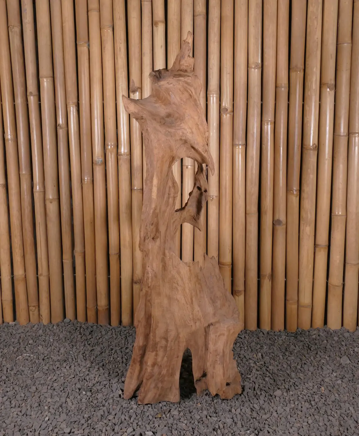  Product image 3 of the product “Root made of teak wood about 110cm height ”